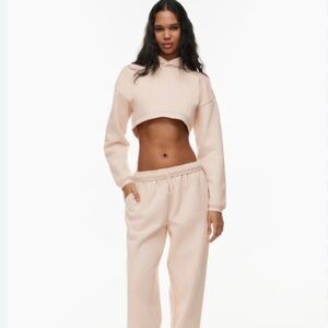 NWT Aritzia perfect fit gray shrug cropped hoodie